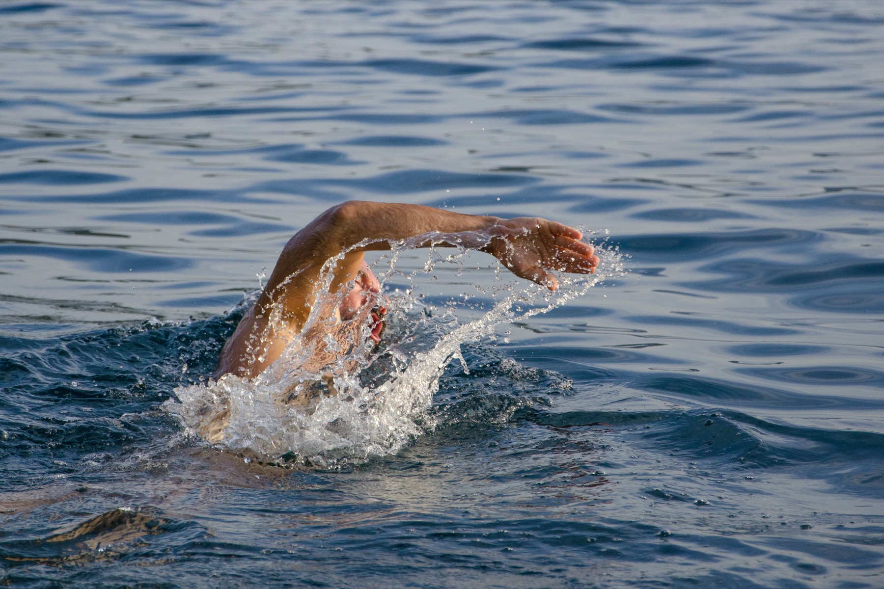 Close-up of a freestyle swimmer in open water